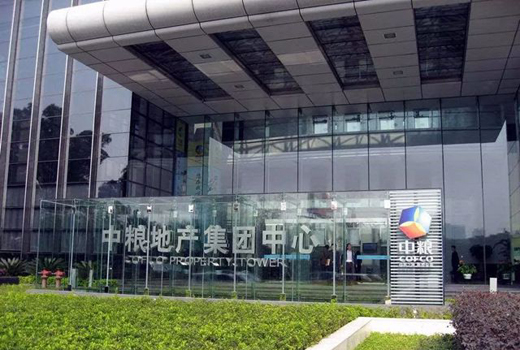物业集团的崛起：引领行业变革的力量